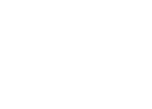 Ex-Hail Auto Hail Repair